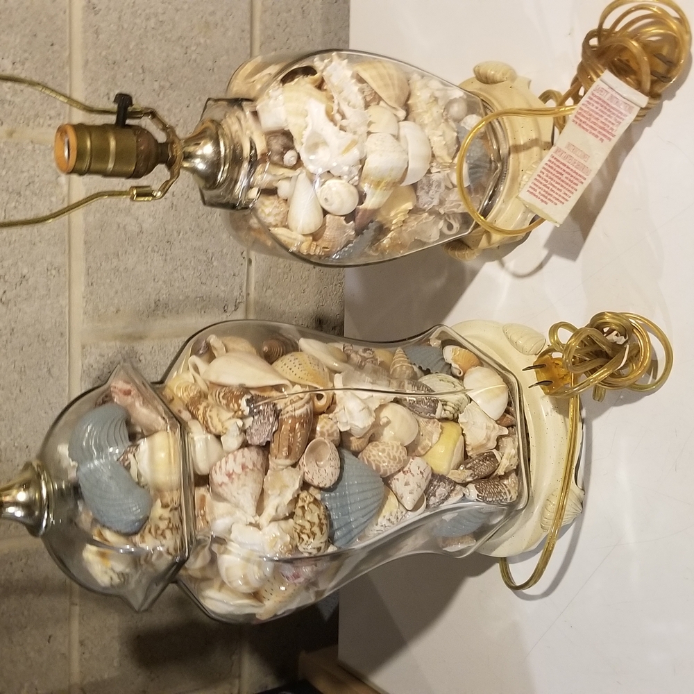 Shell-Filled Glass Table Lamp